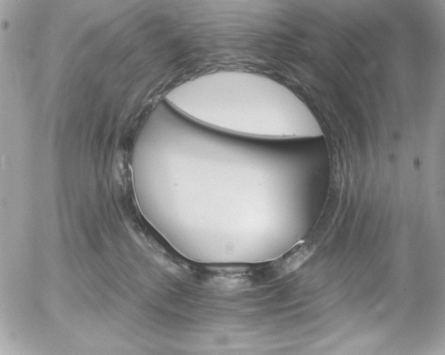 X0000052940280200507221154