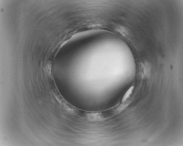 X0000052940281200507221154