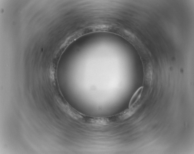 X0000052940282200507221154