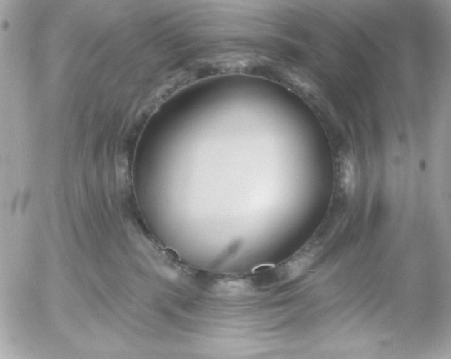 X0000052940283200507221154