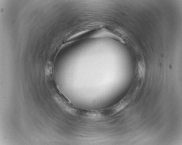 X0000052940284200507221154