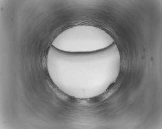 X0000052940285200507221154