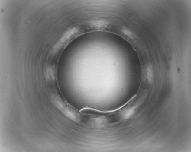 X0000052940286200507221154