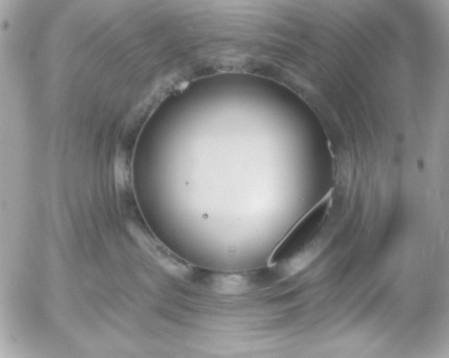 X0000052940287200507221154