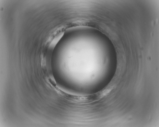 X0000052940288200507221154