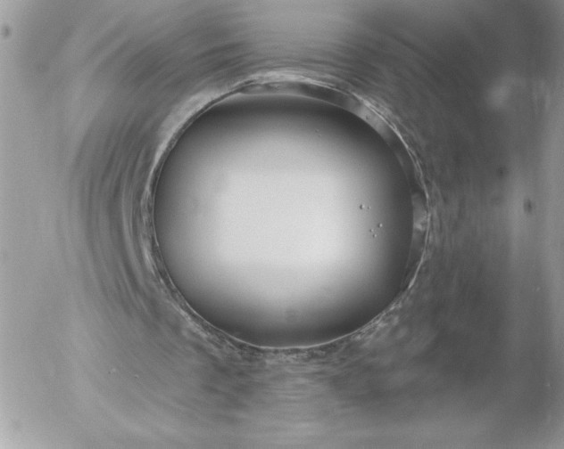 X0000052940289200507221153