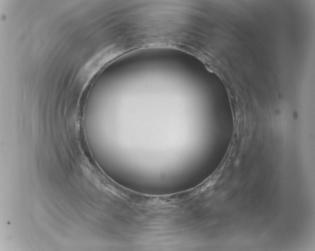 X0000052940290200507221153