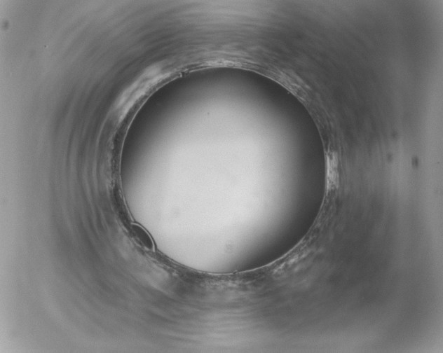 X0000052940291200507221153