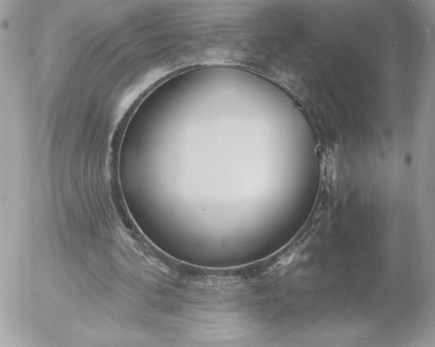 X0000052940292200507221153