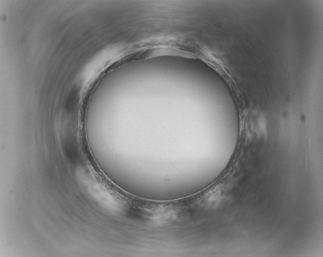 X0000052940293200507221153