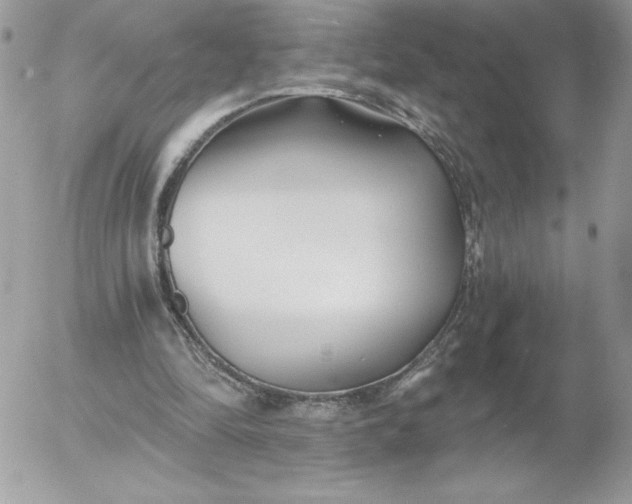 X0000052940294200507221153