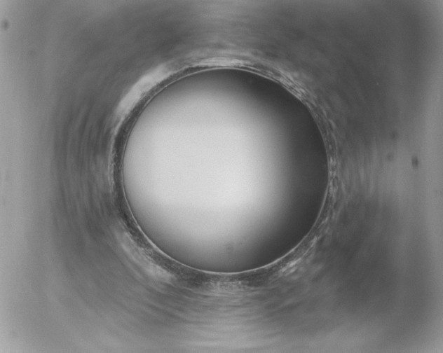 X0000052940296200507221153