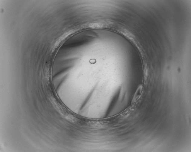 X0000052940297200507221153