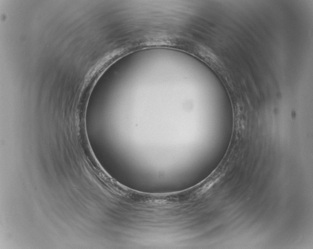 X0000052940298200507221153