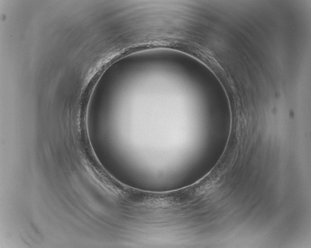 X0000052940299200507221153