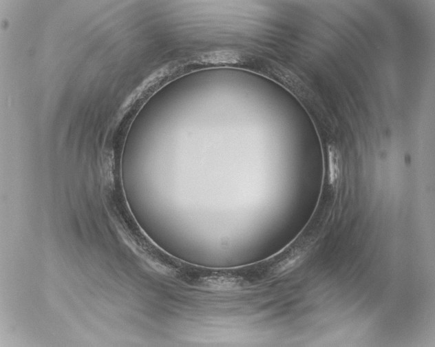 X0000052940300200507221153