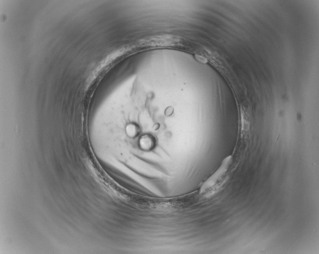 X0000052940301200507221153