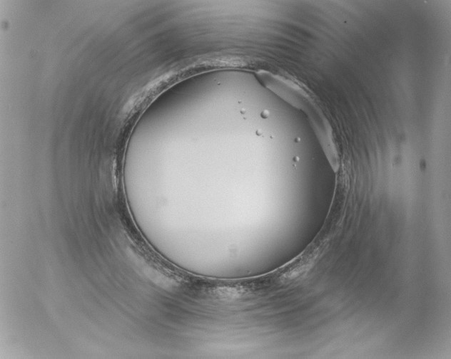 X0000052940302200507221153