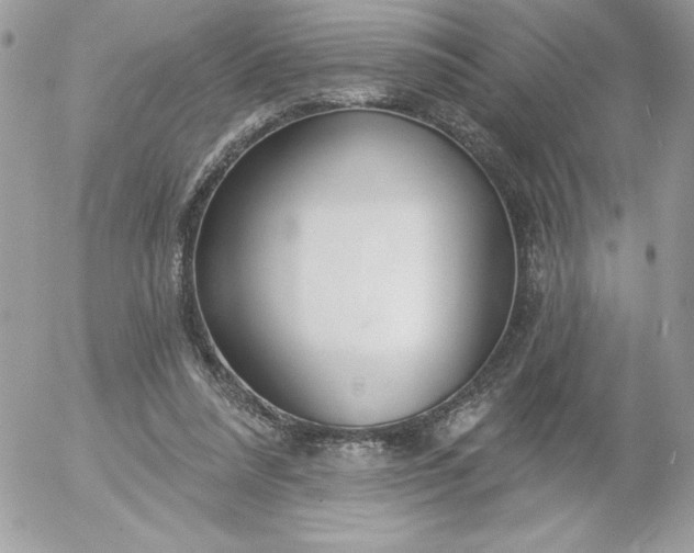 X0000052940304200507221153