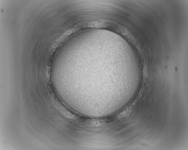 X0000052940305200507221153