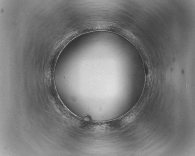 X0000052940306200507221153