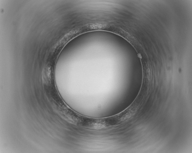 X0000052940308200507221153