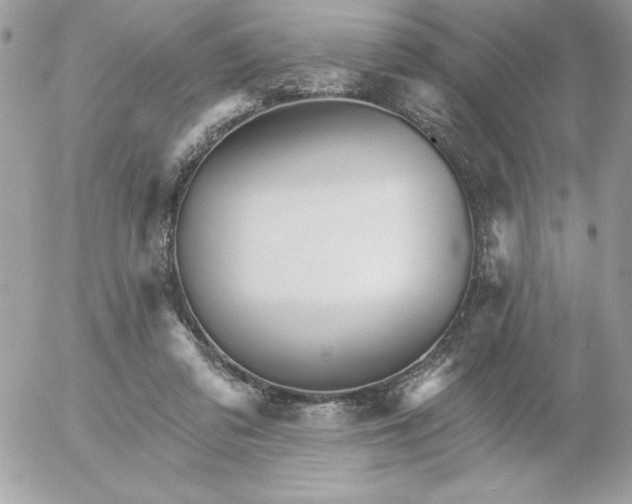 X0000052940309200507221153