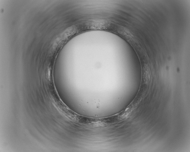 X0000052940310200507221153