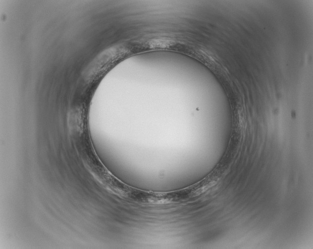 X0000052940311200507221153