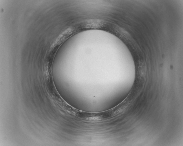 X0000052940312200507221153