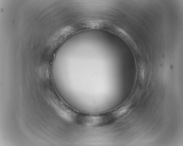 X0000052940313200507221153