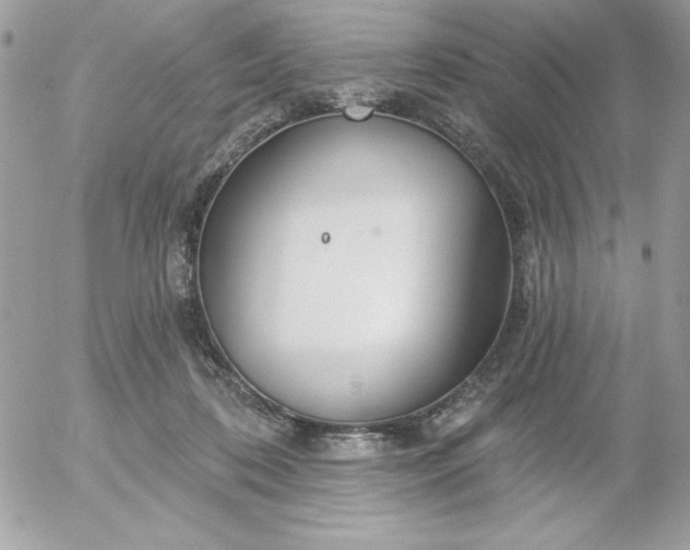 X0000052940316200507221153