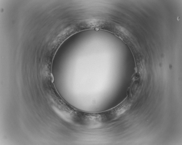 X0000052940317200507221153