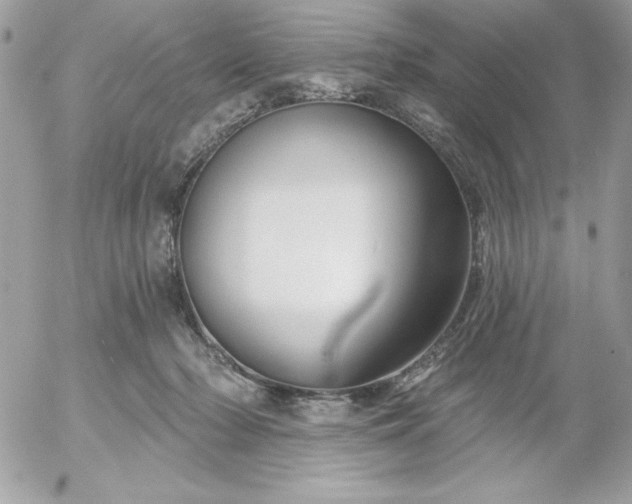 X0000052940318200507221153