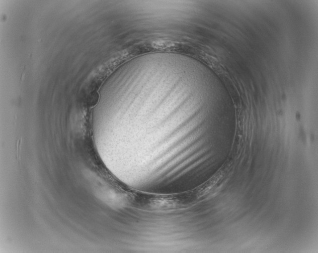 X0000052940319200507221153