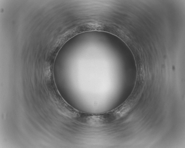 X0000052940320200507221153