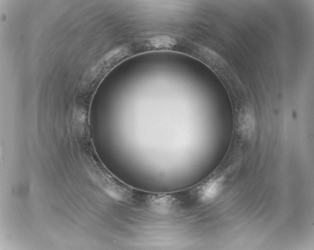 X0000052940321200507221153