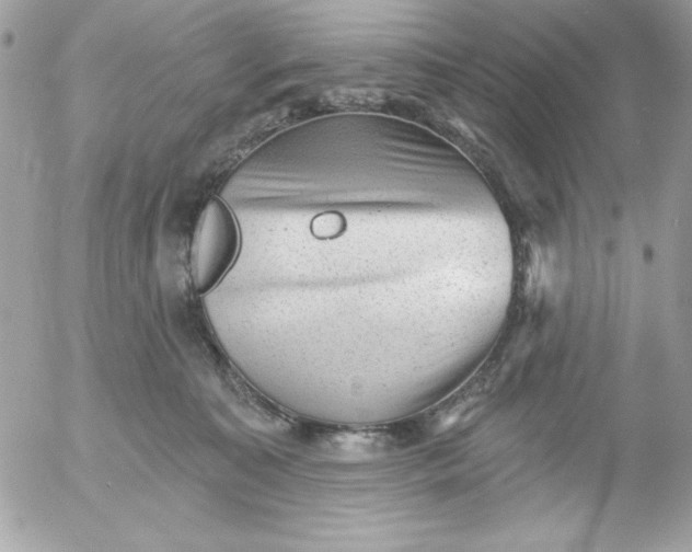 X0000052940323200507221153