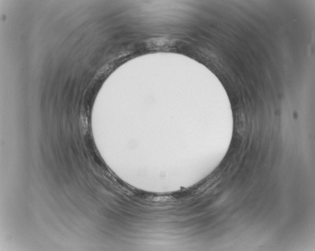 X0000052940324200507221153