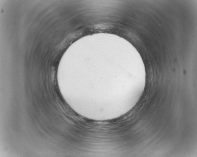 X0000052940328200507221153