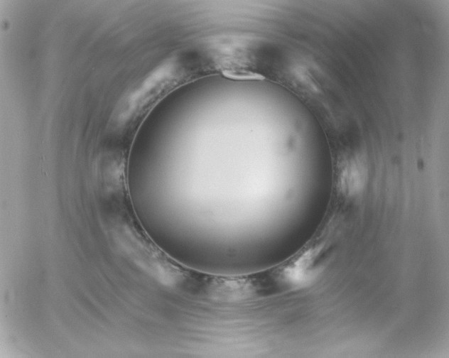 X0000052940329200507221153