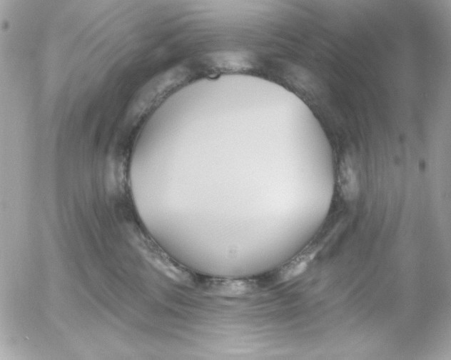 X0000052940330200507221153