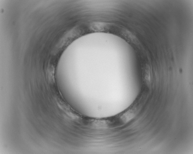 X0000052940332200507221153