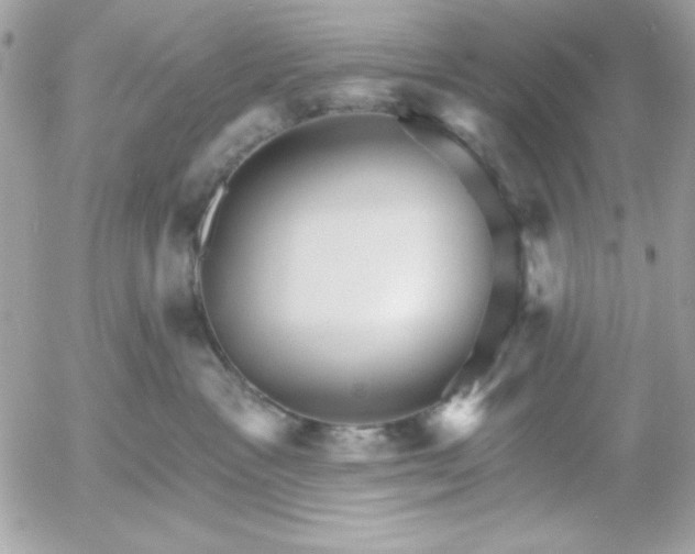 X0000052940333200507221153