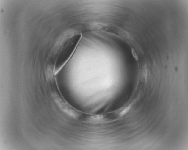 X0000052940335200507221153