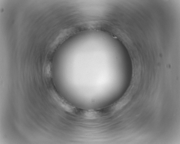 X0000052940336200507221153