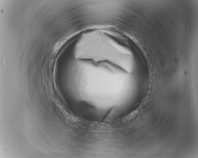 X0000052940337200507221152