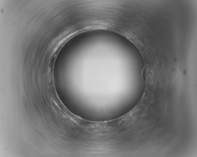 X0000052940338200507221152