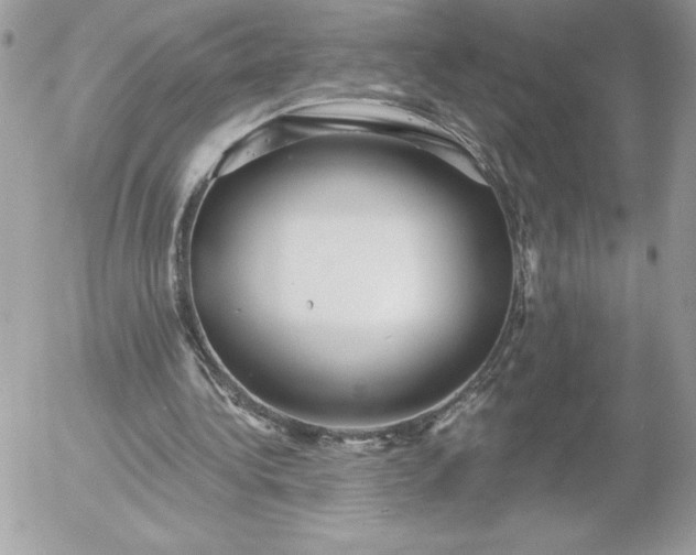 X0000052940340200507221152