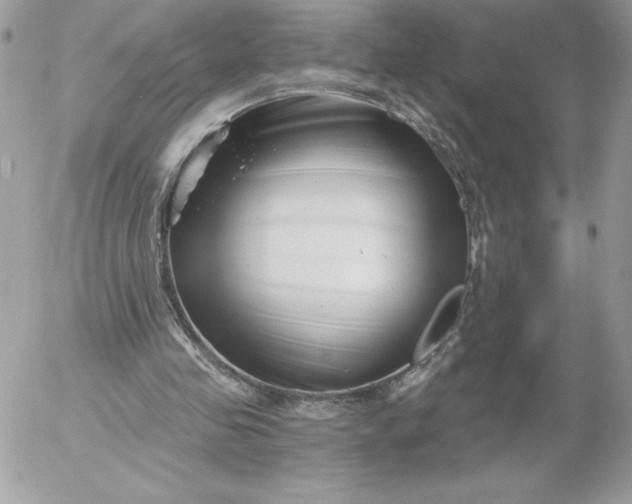 X0000052940341200507221152